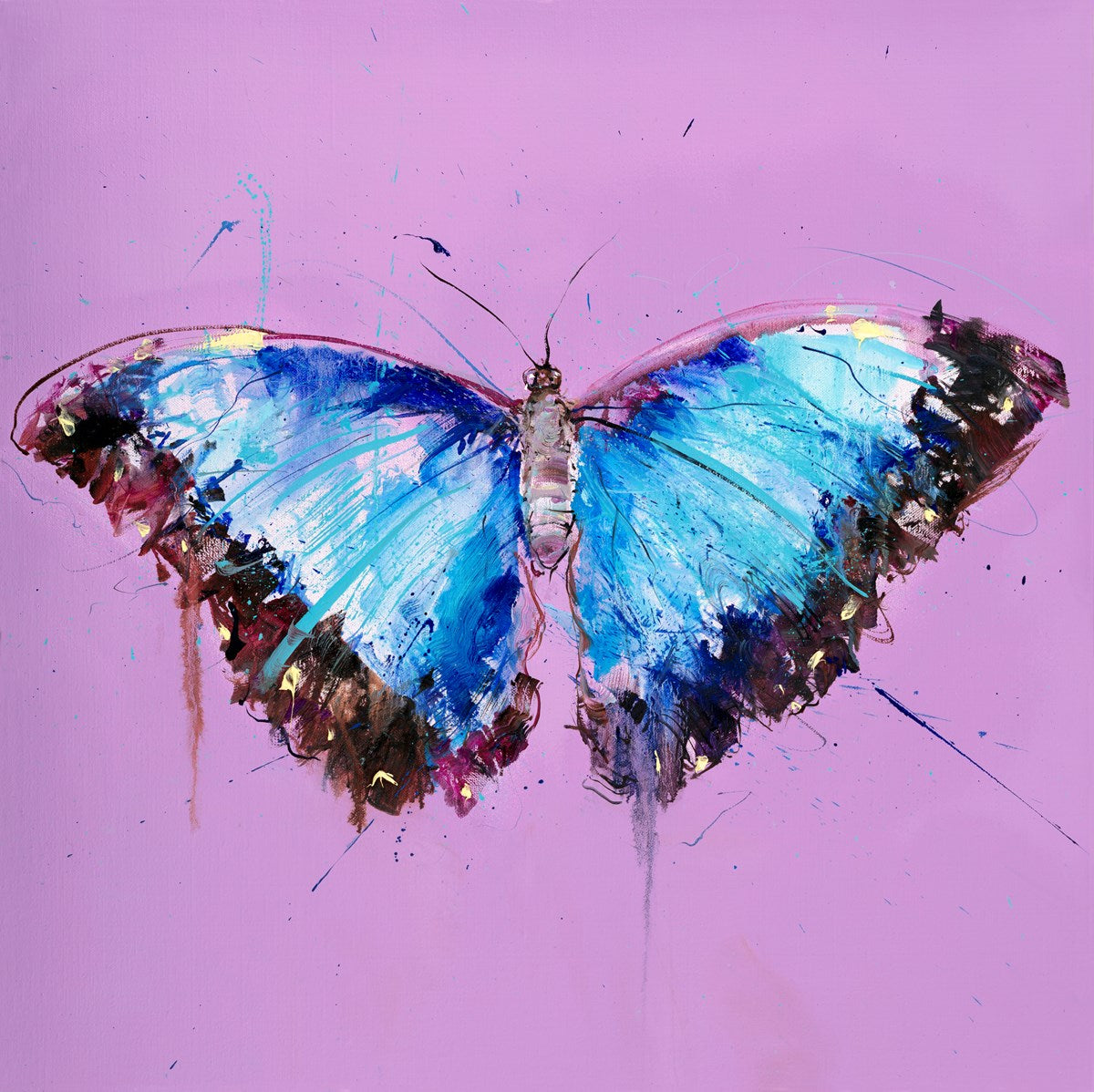 フロイドアート蝶々#3 Buy Butterfly Art - Original Paintings & Limited Editions