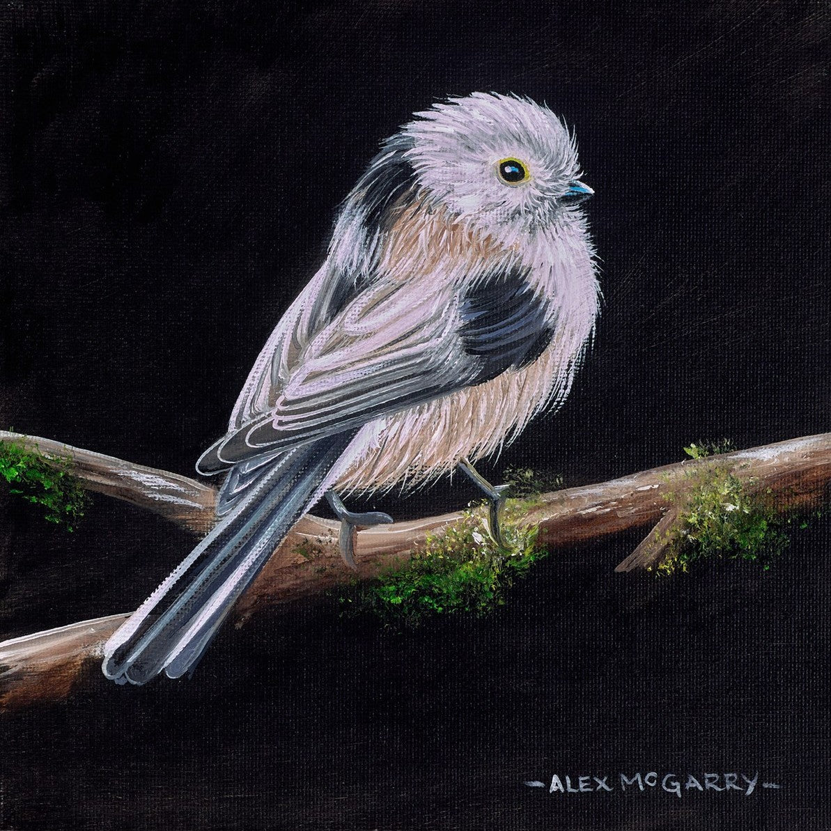 Buy Bird Art - Original Paintings & Limited Editions – Clarendon