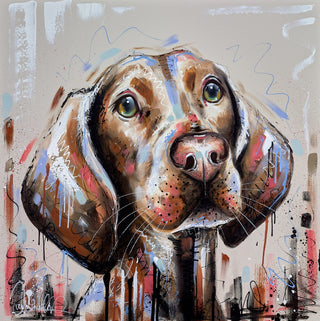 Dogs