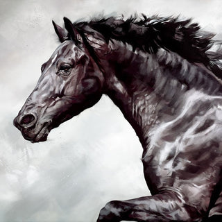 Horses
