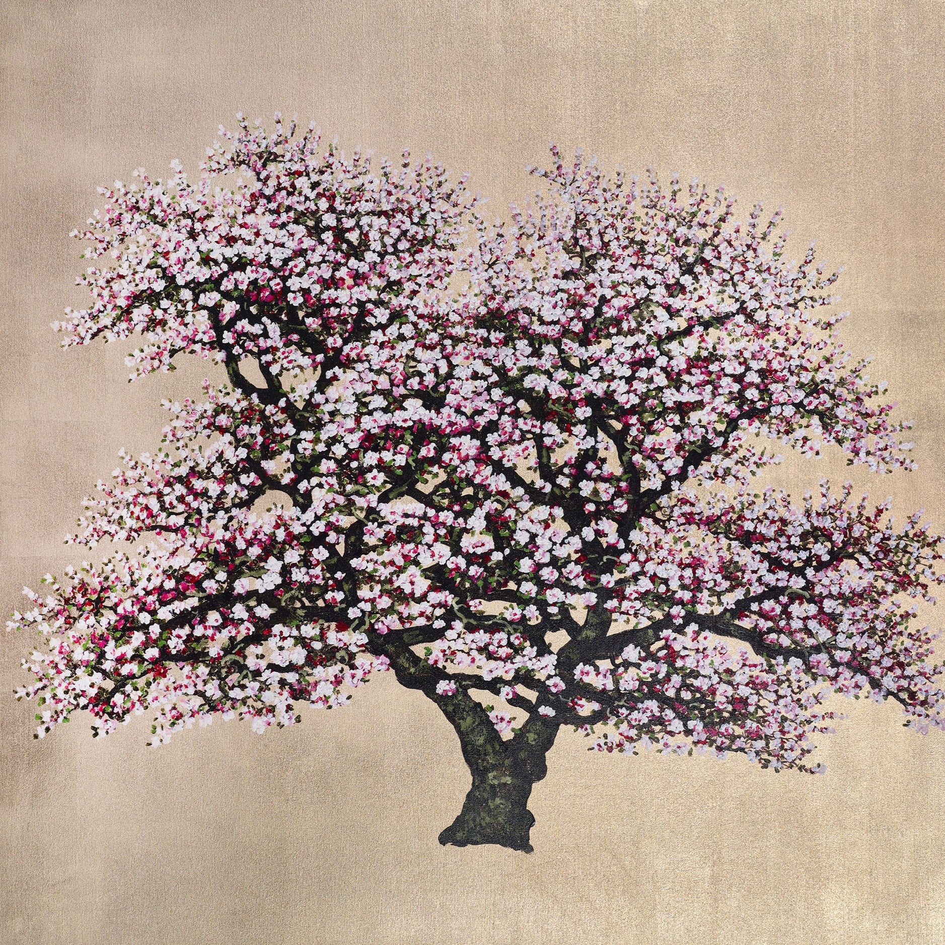 jack_frame_5d951a41-482a-4030-