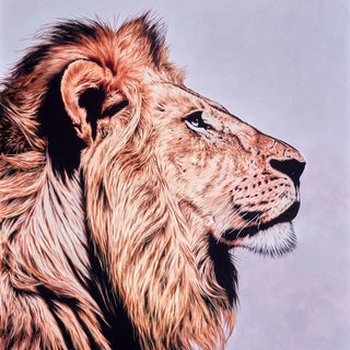 Lions