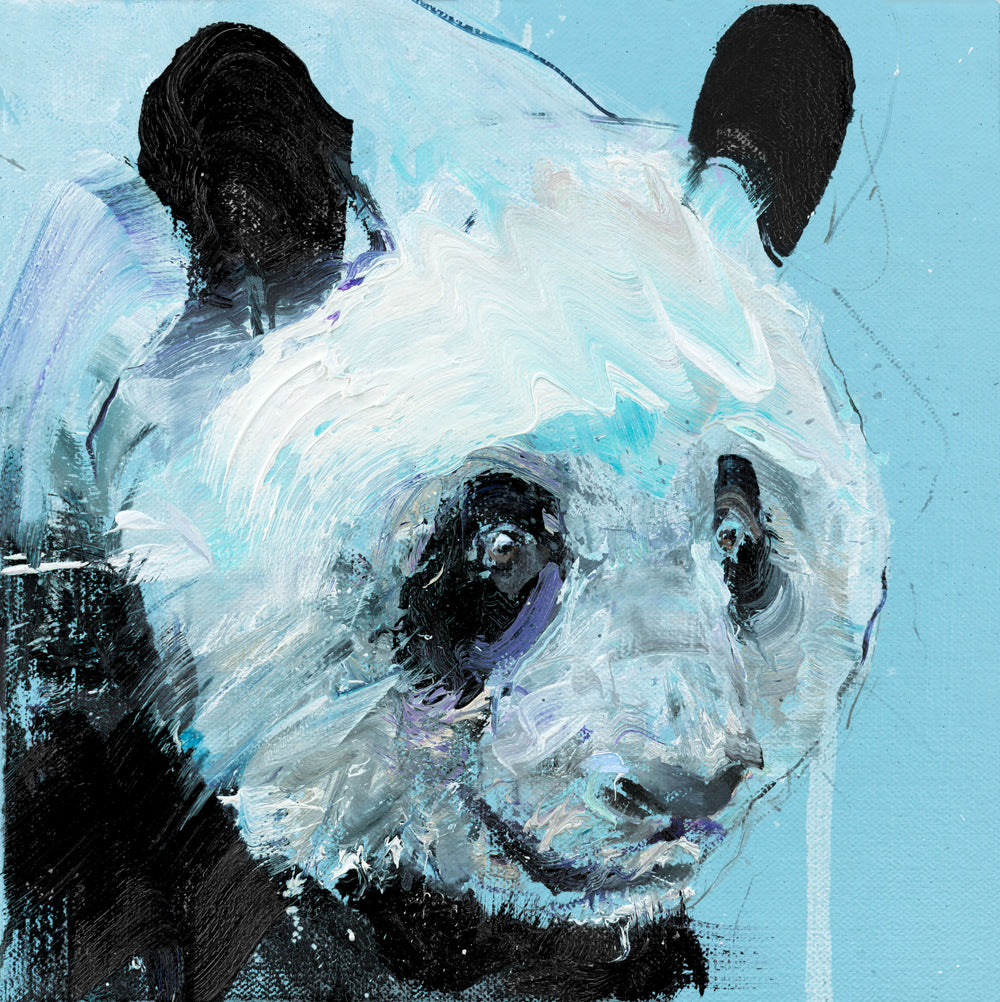 Panda III
