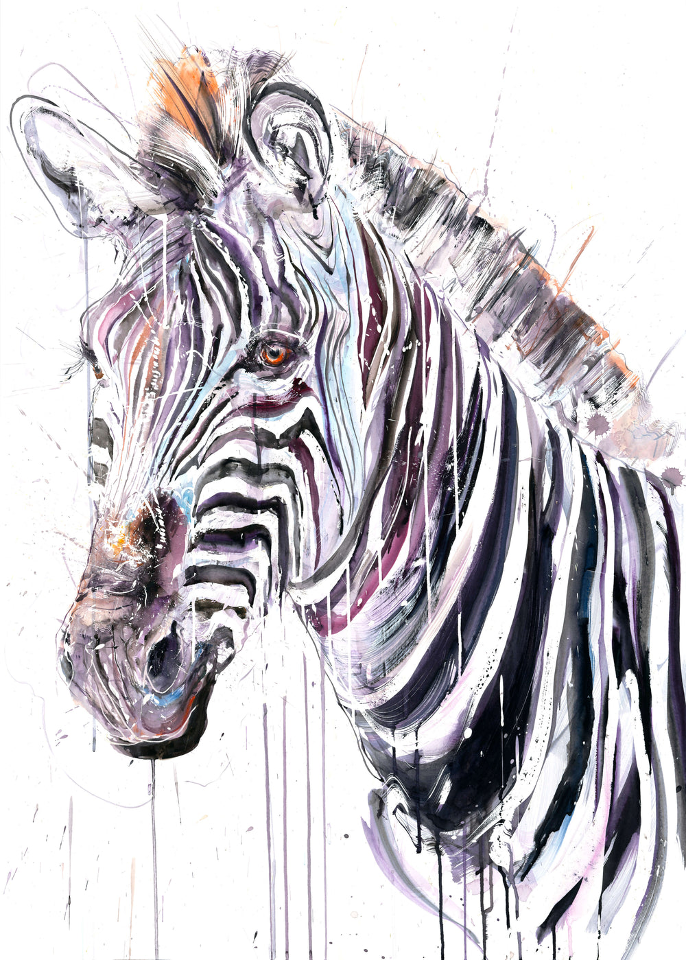 Grevy's Zebra II (Study)
