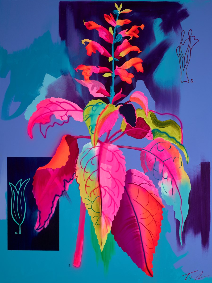 Rainbow Sage