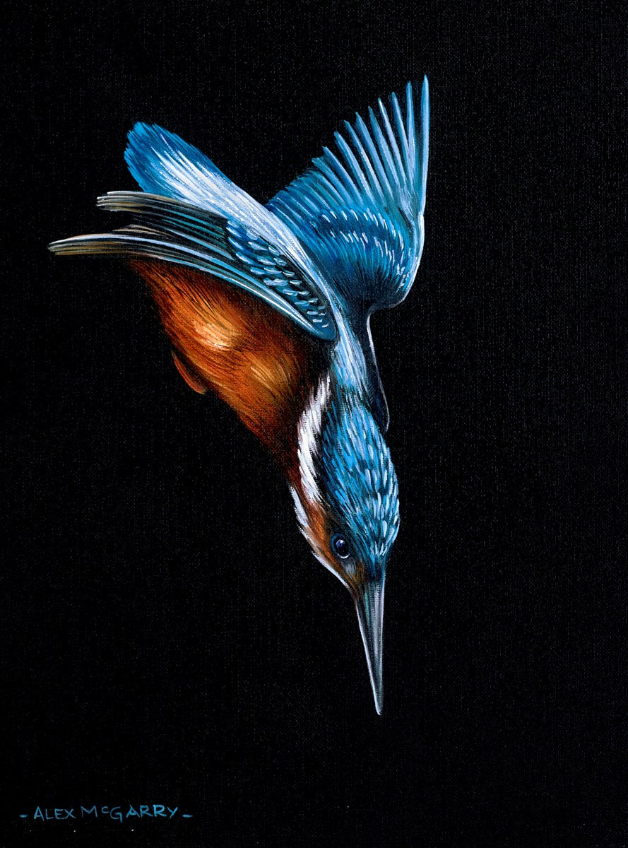 Image_2d9312ce-1c7b-4c9f-b3ea-