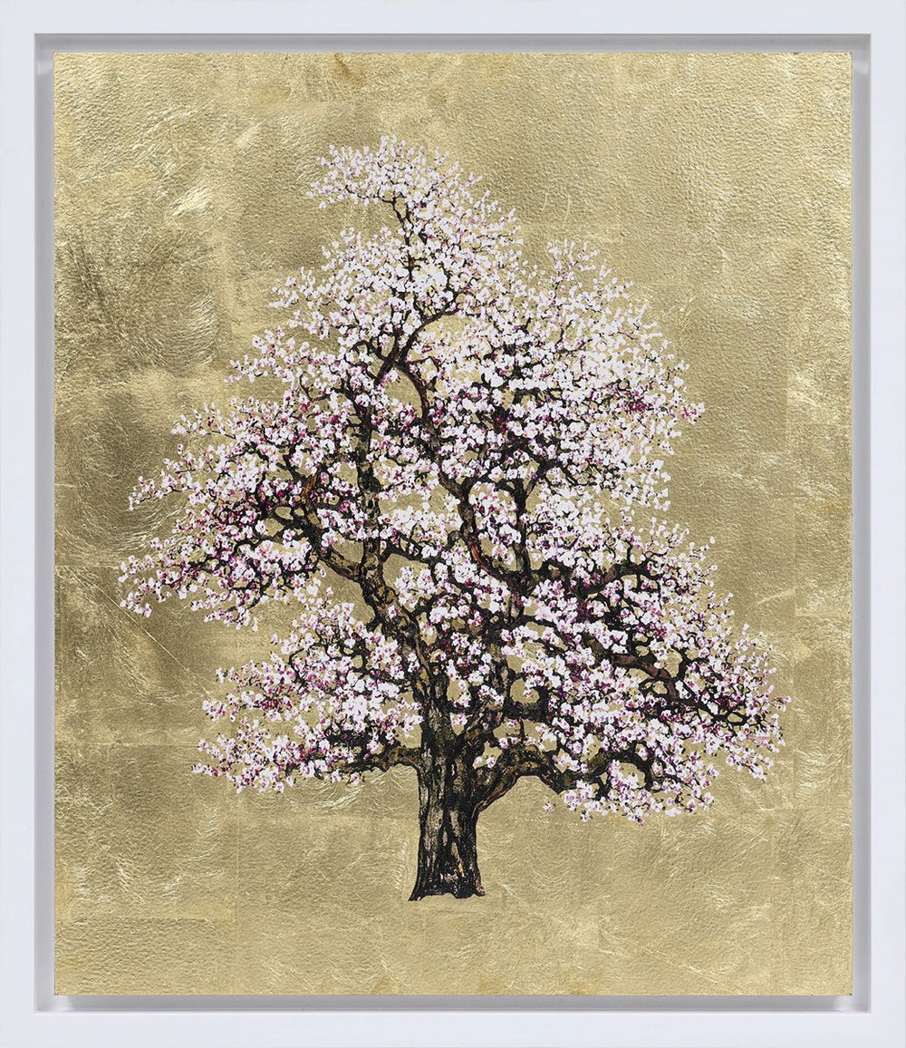 Gilded Blossom (Framed)