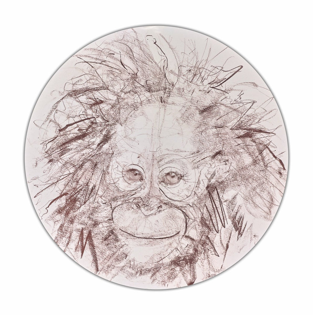 Baby Orangutan Study VI