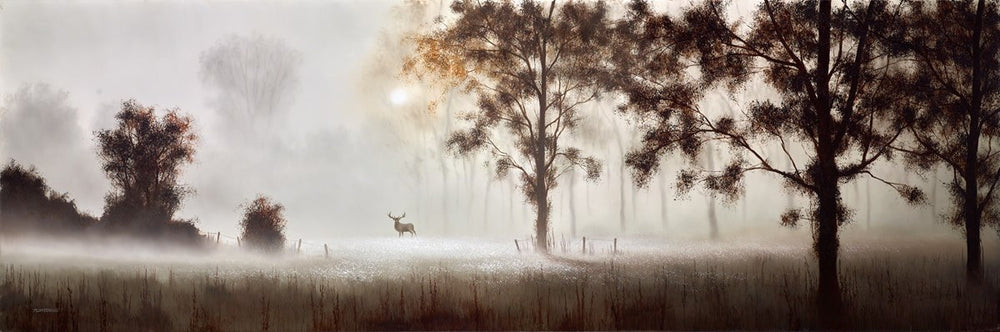 At the Edge of the Woods