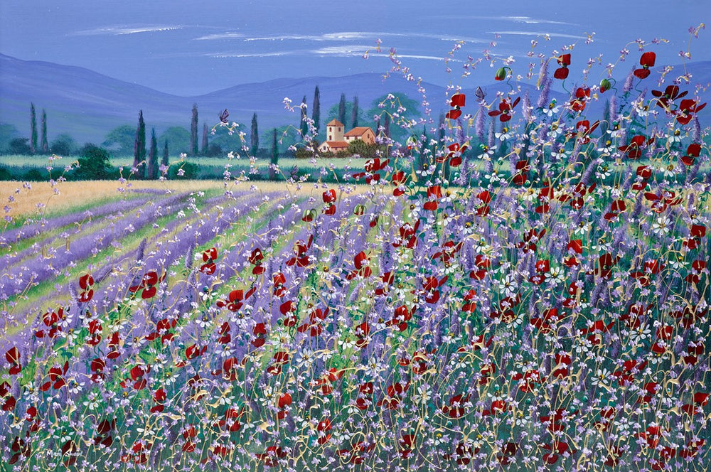 Summer Poppies V