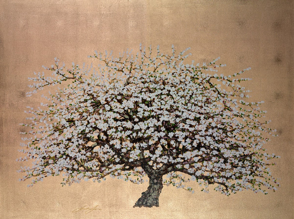 Wild Apple Blossom