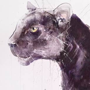 Panther (Detail1)