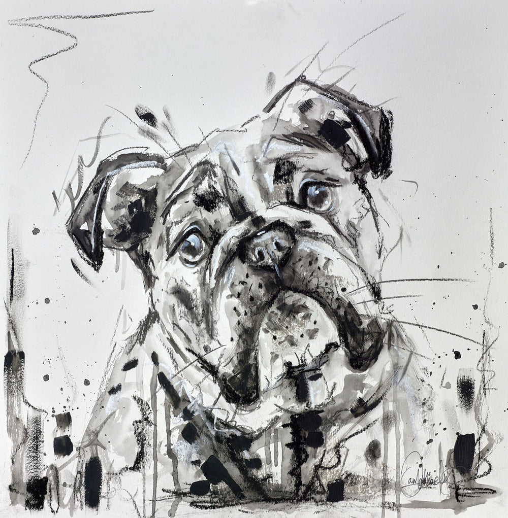 British Bulldog