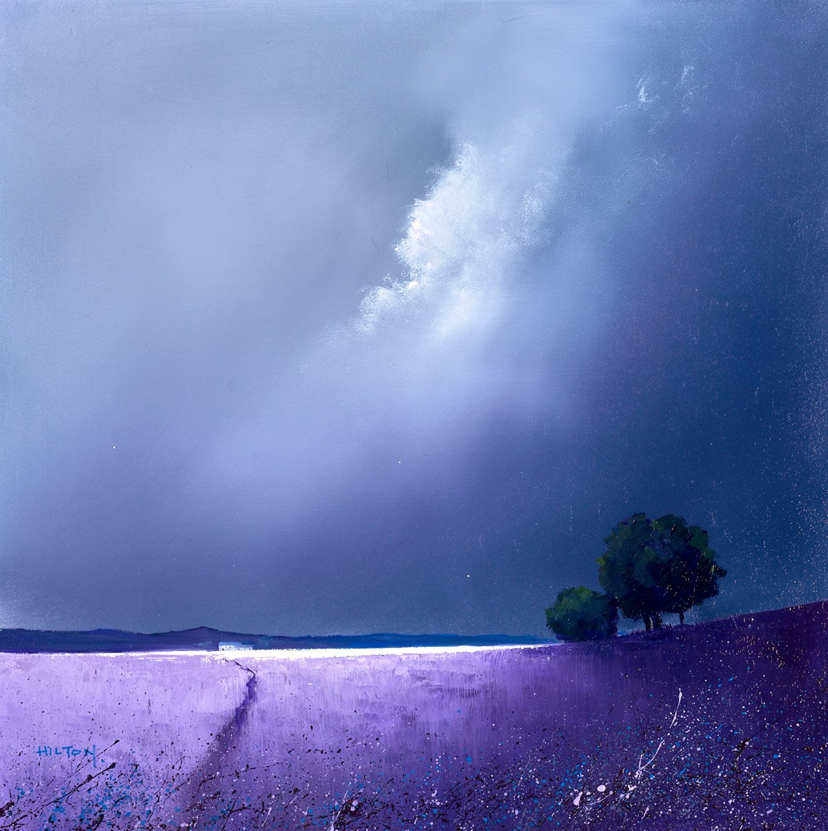 Purple Fields Of Lavender | Barry Hilton – Clarendon Fine Art