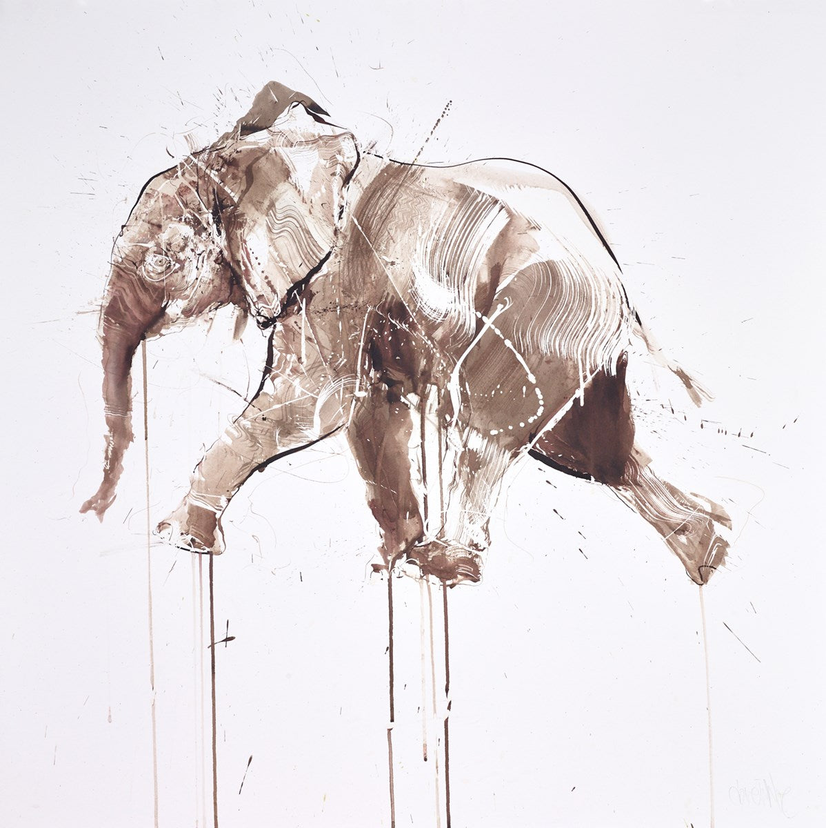 Image_b0ccc382-a8c6-4b1a-b8ad-