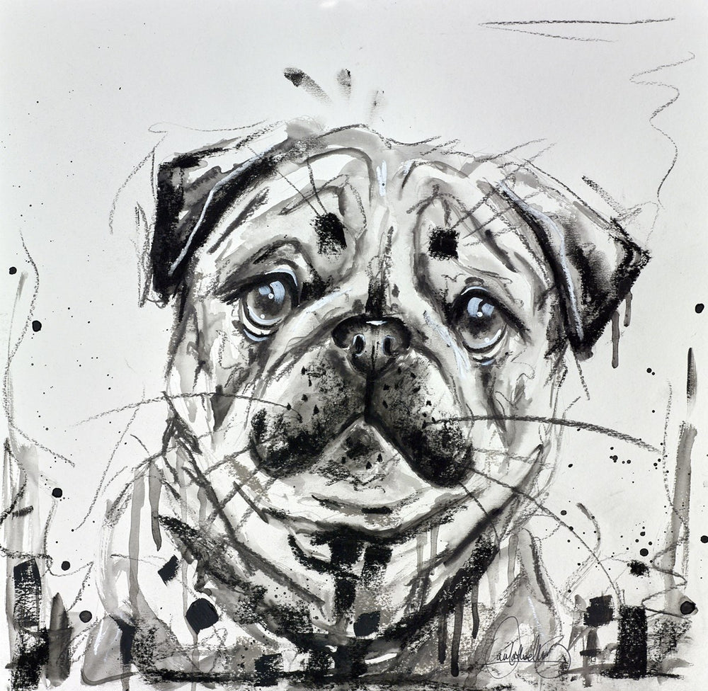 Pug
