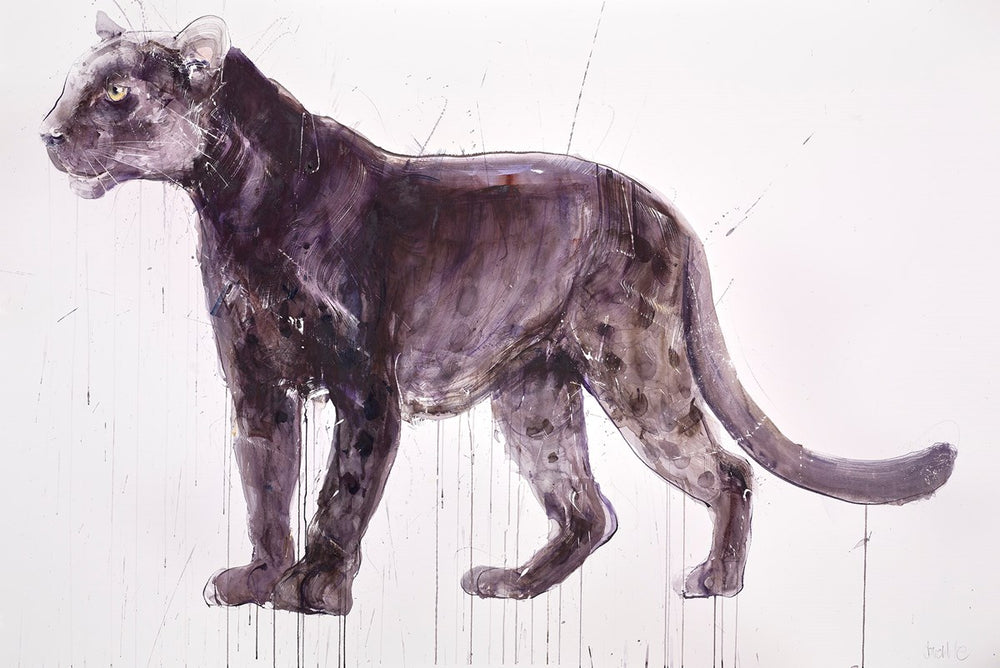 Panther