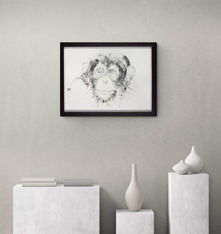 Chimp Study V (Roomset)
