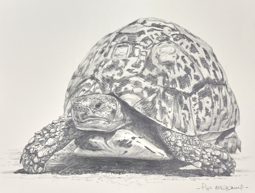 Speedy Gonzales