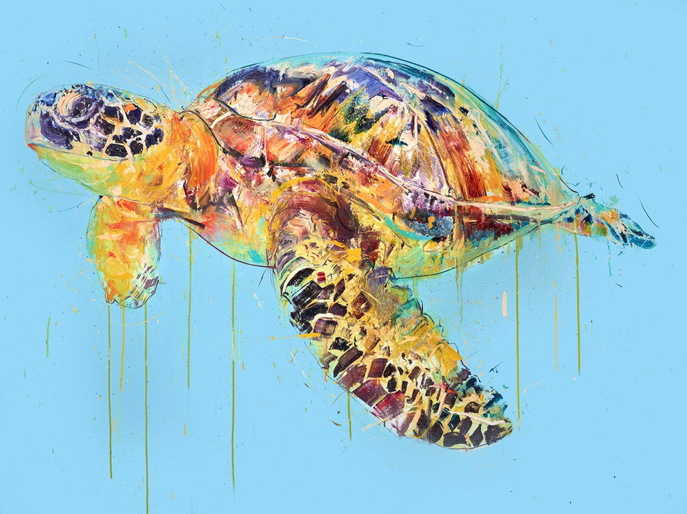 Sea Turtle