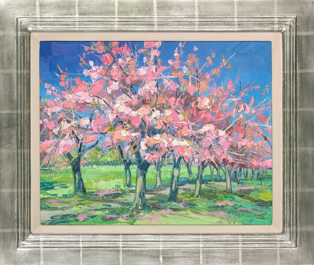 Cherry Blossom Time, The Meadows, Edinburgh | Judith Bridgland
