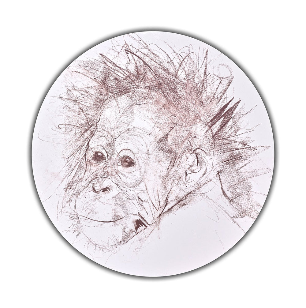 Baby Orangutan Study III