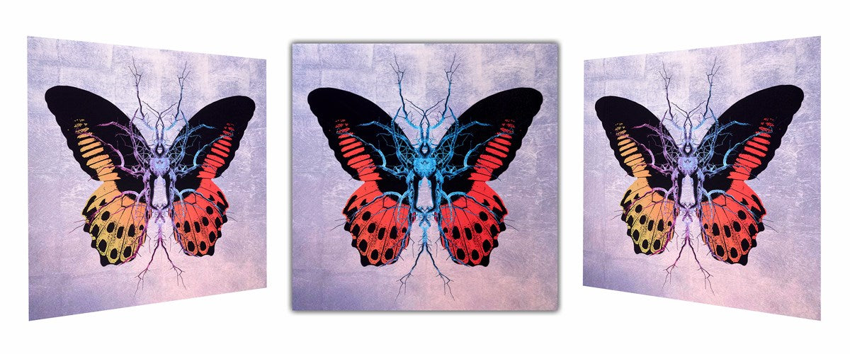 Therapy Butterfly Red/Yellow | Maxim – Clarendon Fine Art