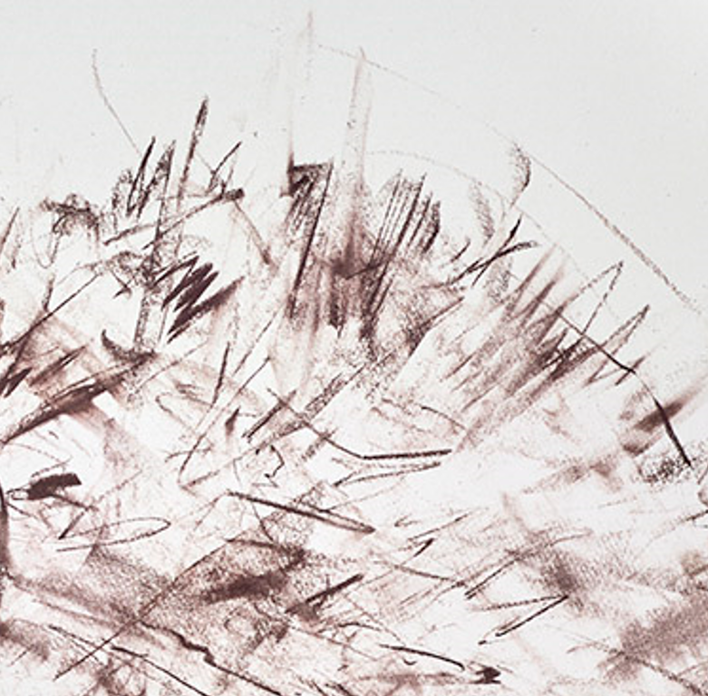 Hedgehog Study II