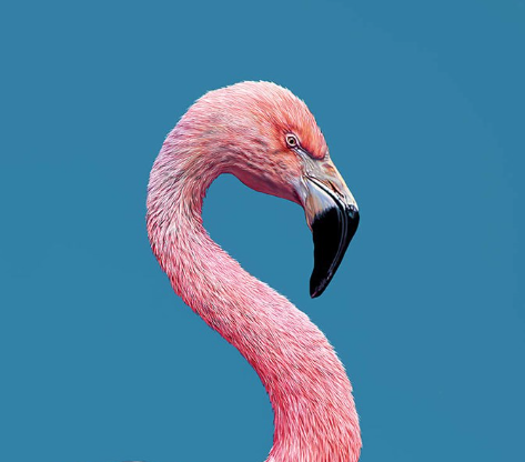 Strike a Pose (Detail1)