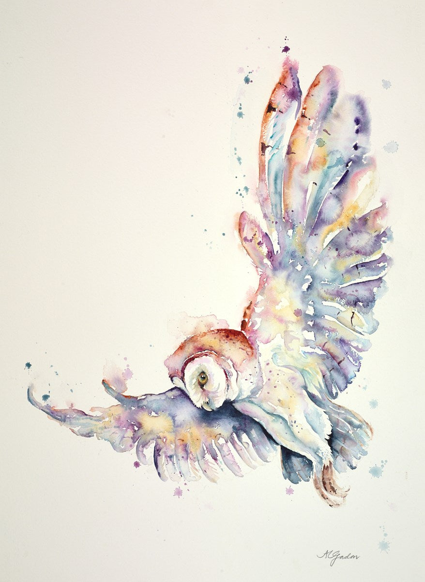 Silent Flight - Barn Owl