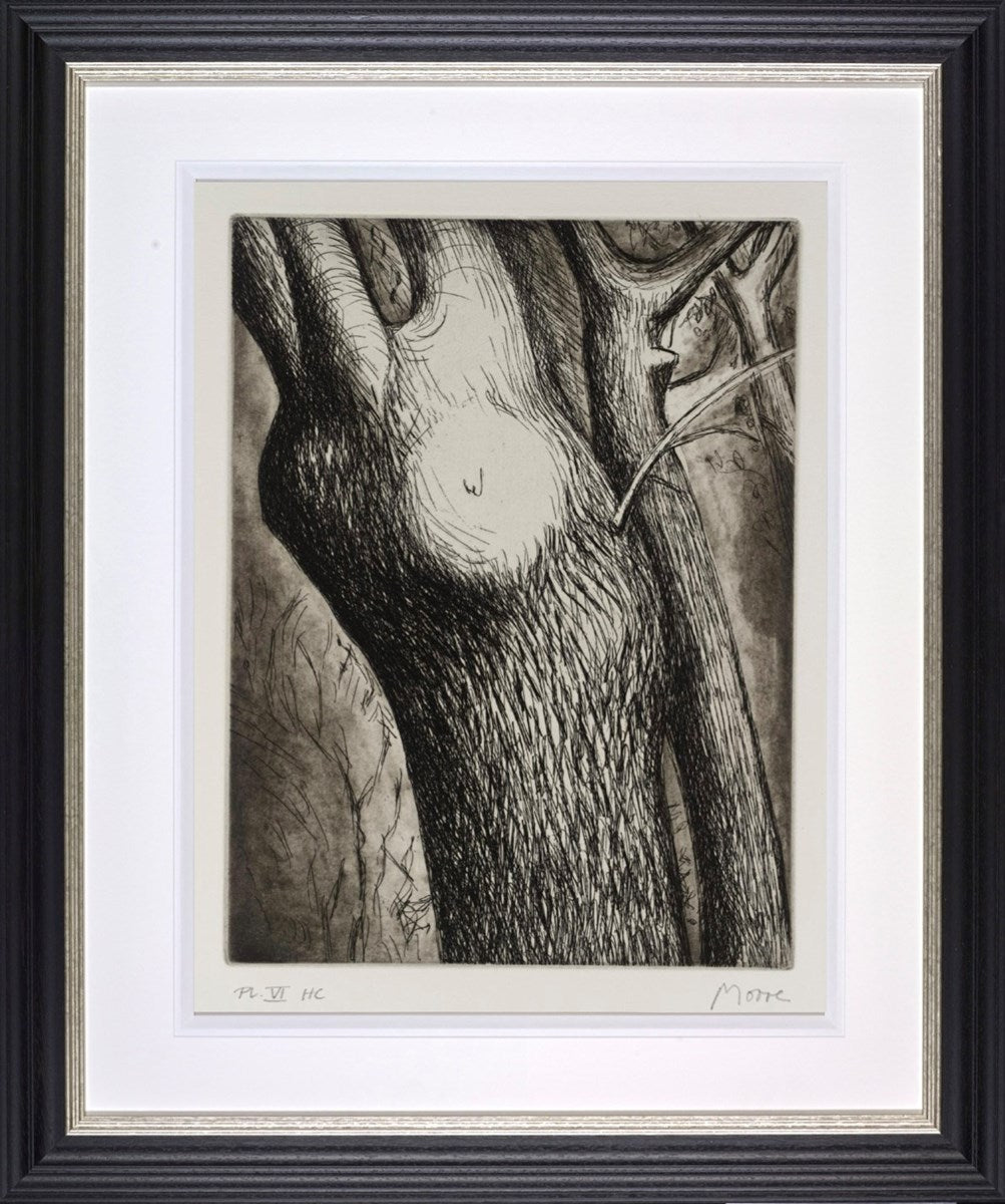 Trees VI: Dead Ash | Henry Moore – Clarendon Fine Art