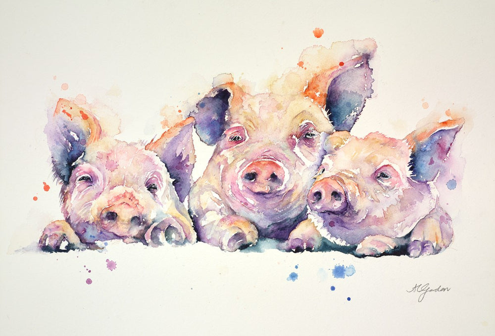 Three Little Pigs