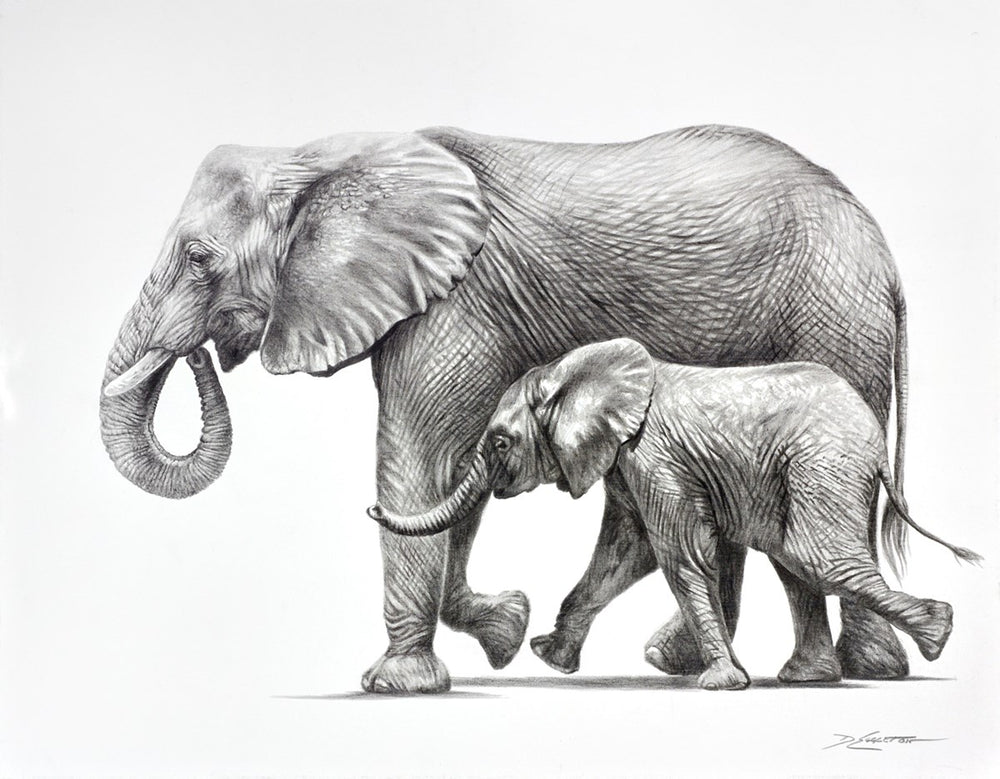 Elephants Happy Together