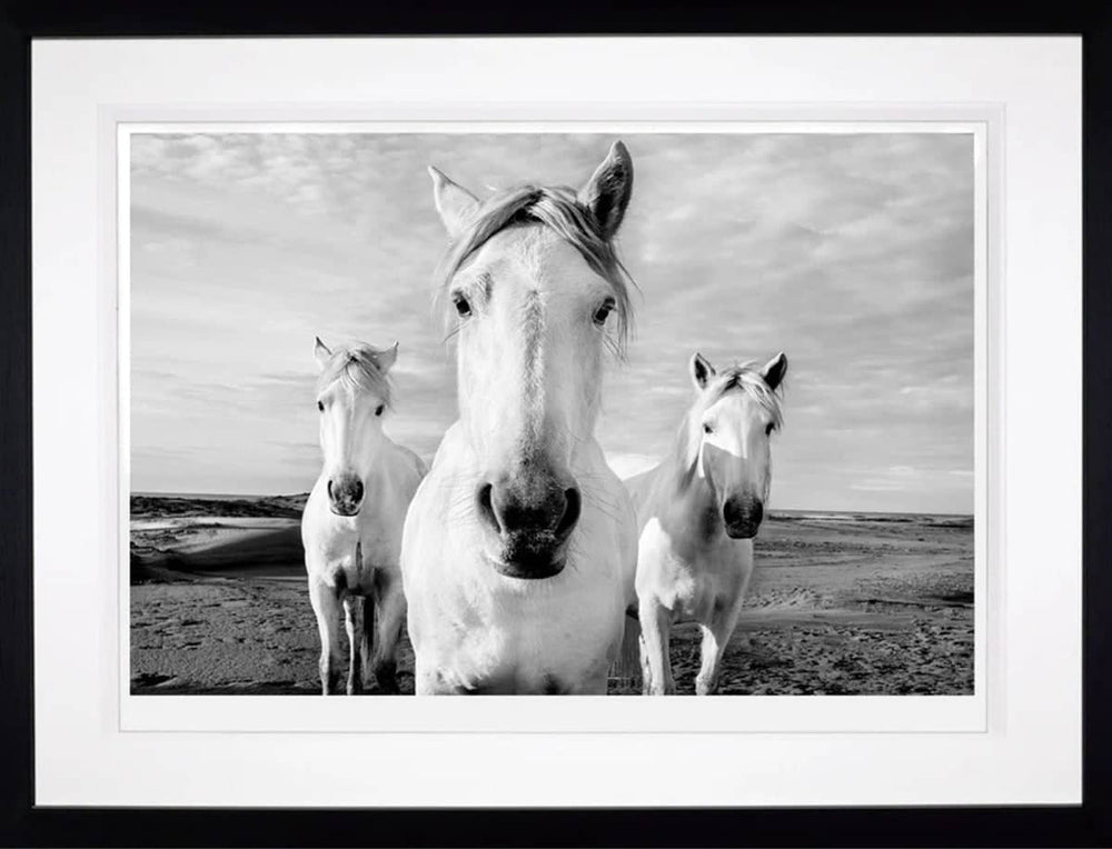 The Boys are Back in Town (Framed)