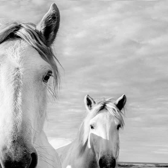 The Boys Are Back In Town