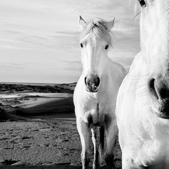 The Boys Are Back In Town