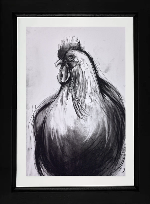 Cockerel