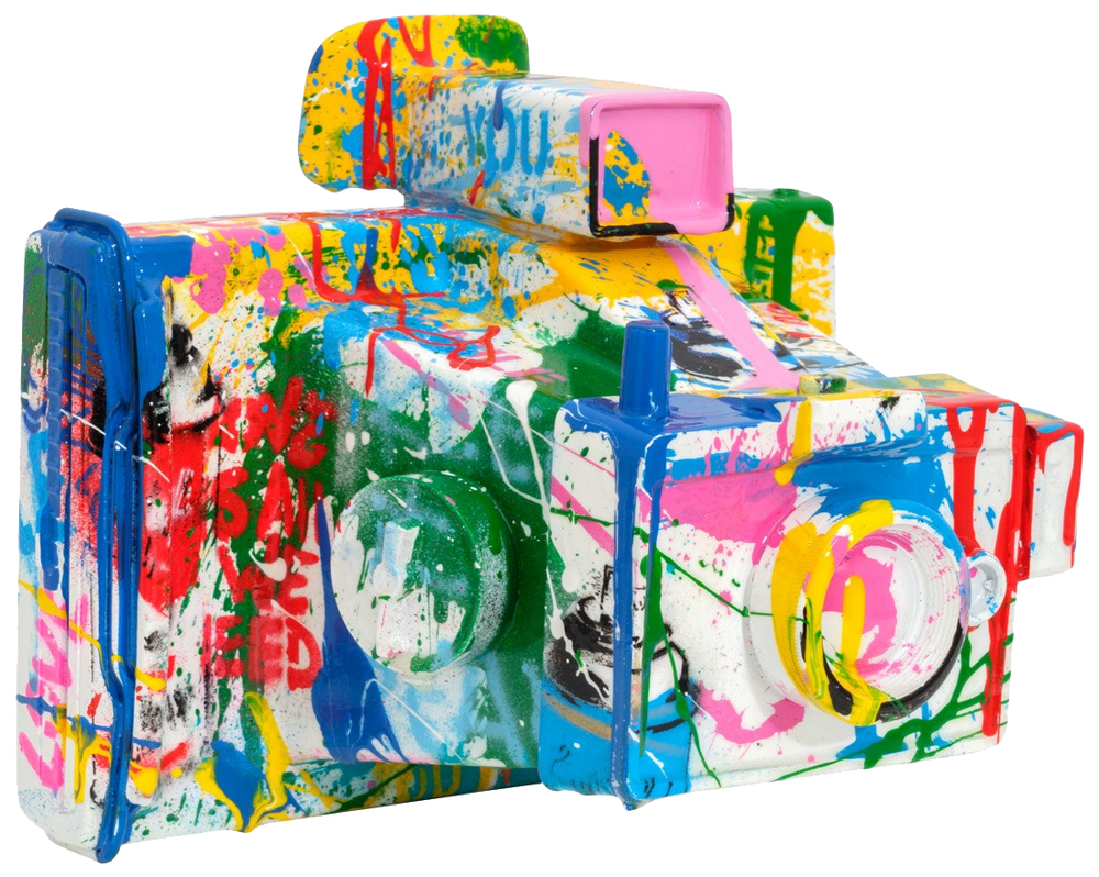 Vandalised Camera