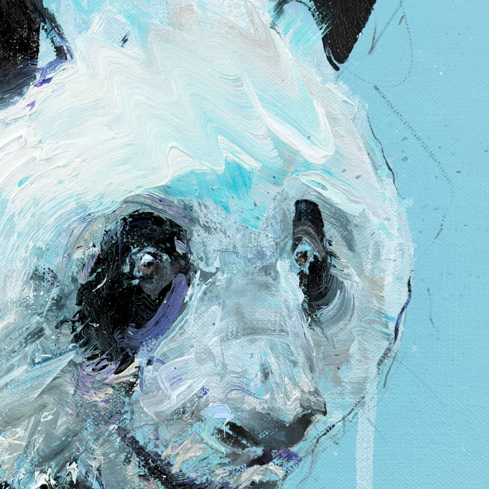 Panda III