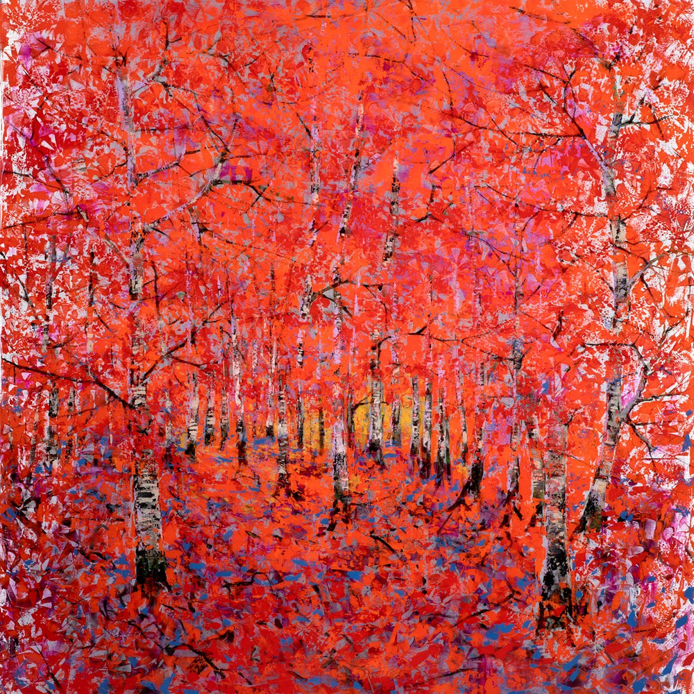 Through The Dark Birches