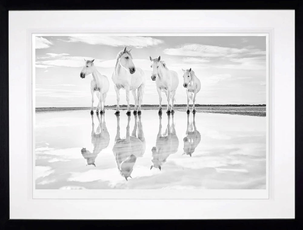 Calm Waters (Framed)