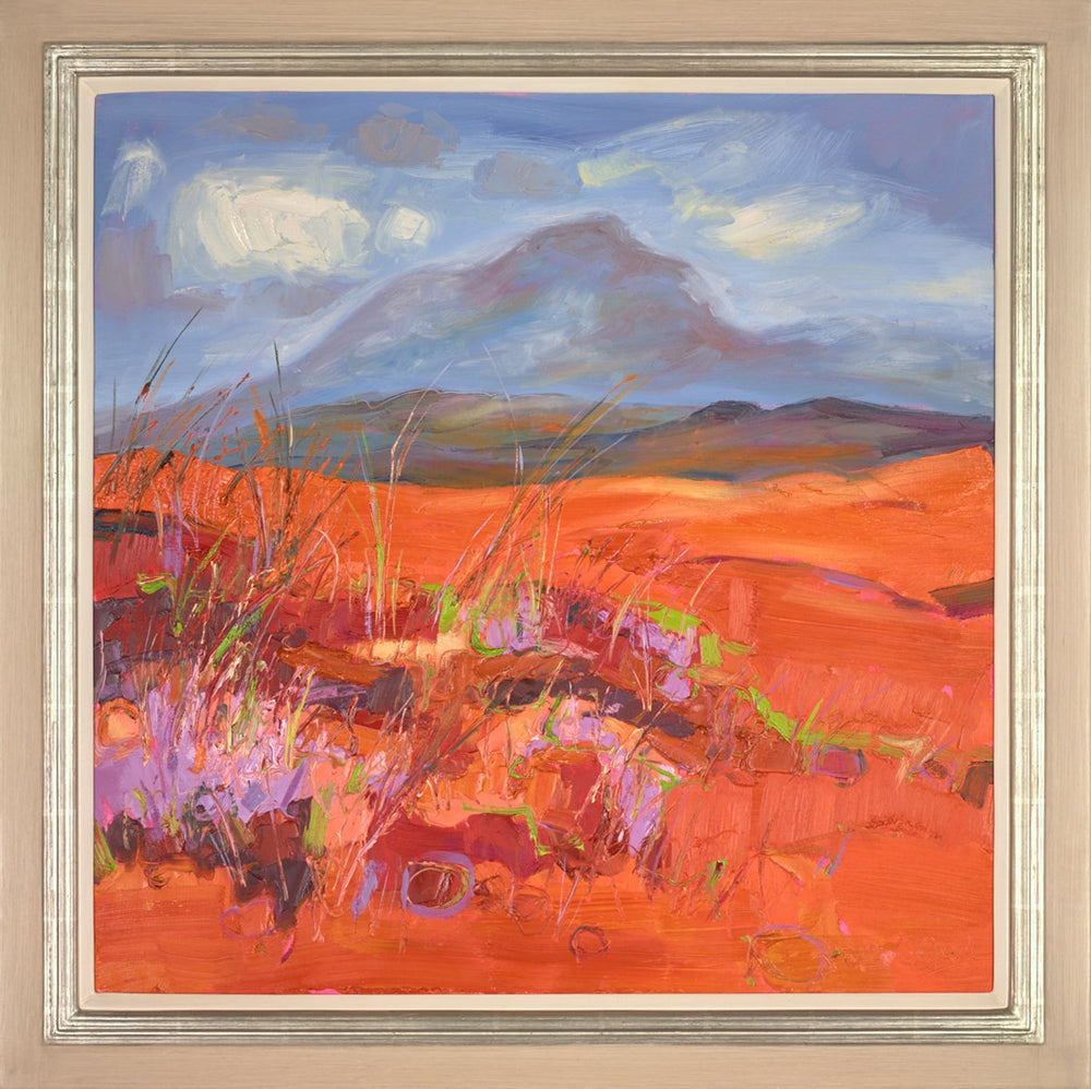 The Red Cuillins , Skye