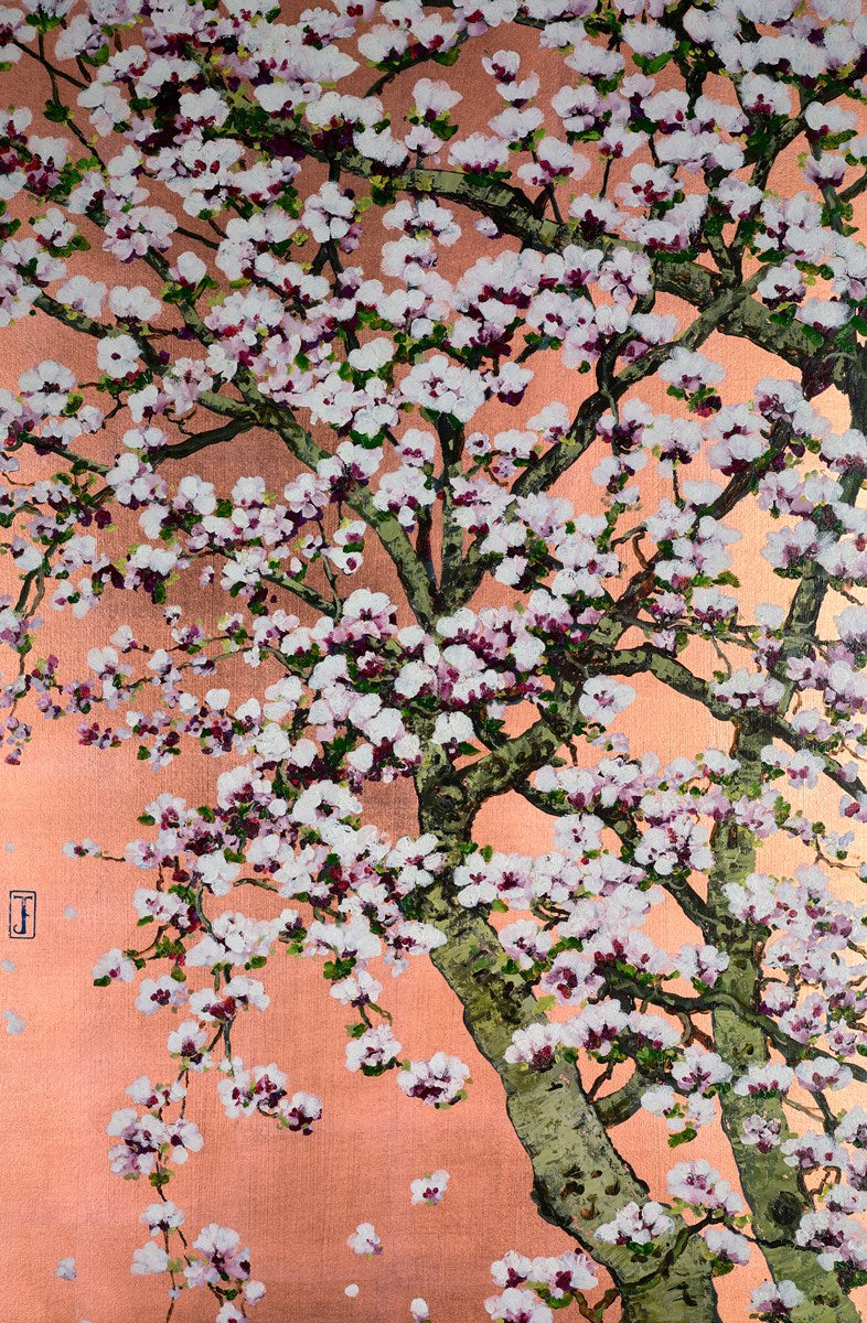 Flowering Oshima Cherry Blossom | Jack Frame – Clarendon Fine Art
