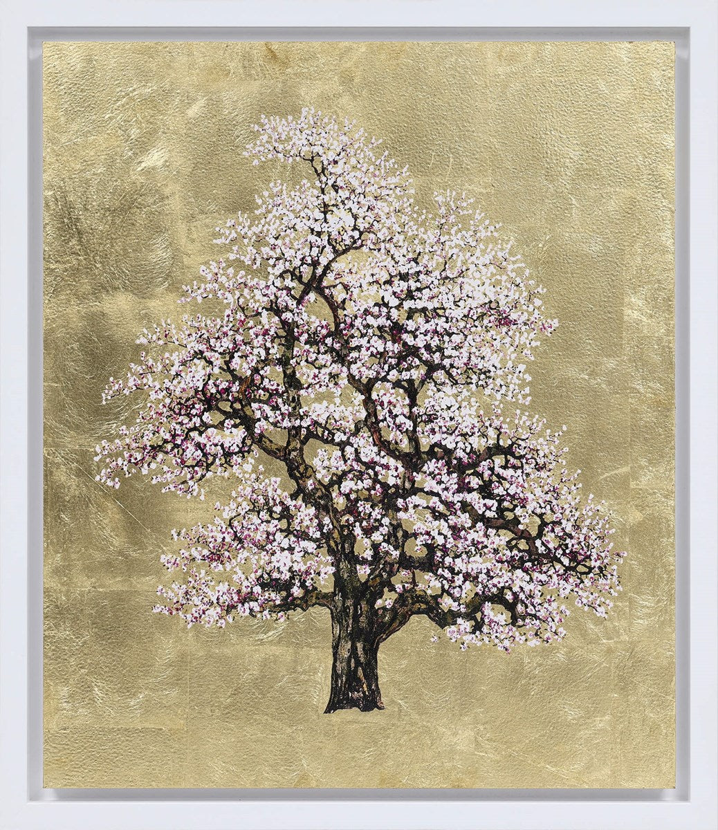 Gilded Blossom | Jack Frame – Clarendon Fine Art Gilded Blossom | Jack Frame – Clarendon Fine Art