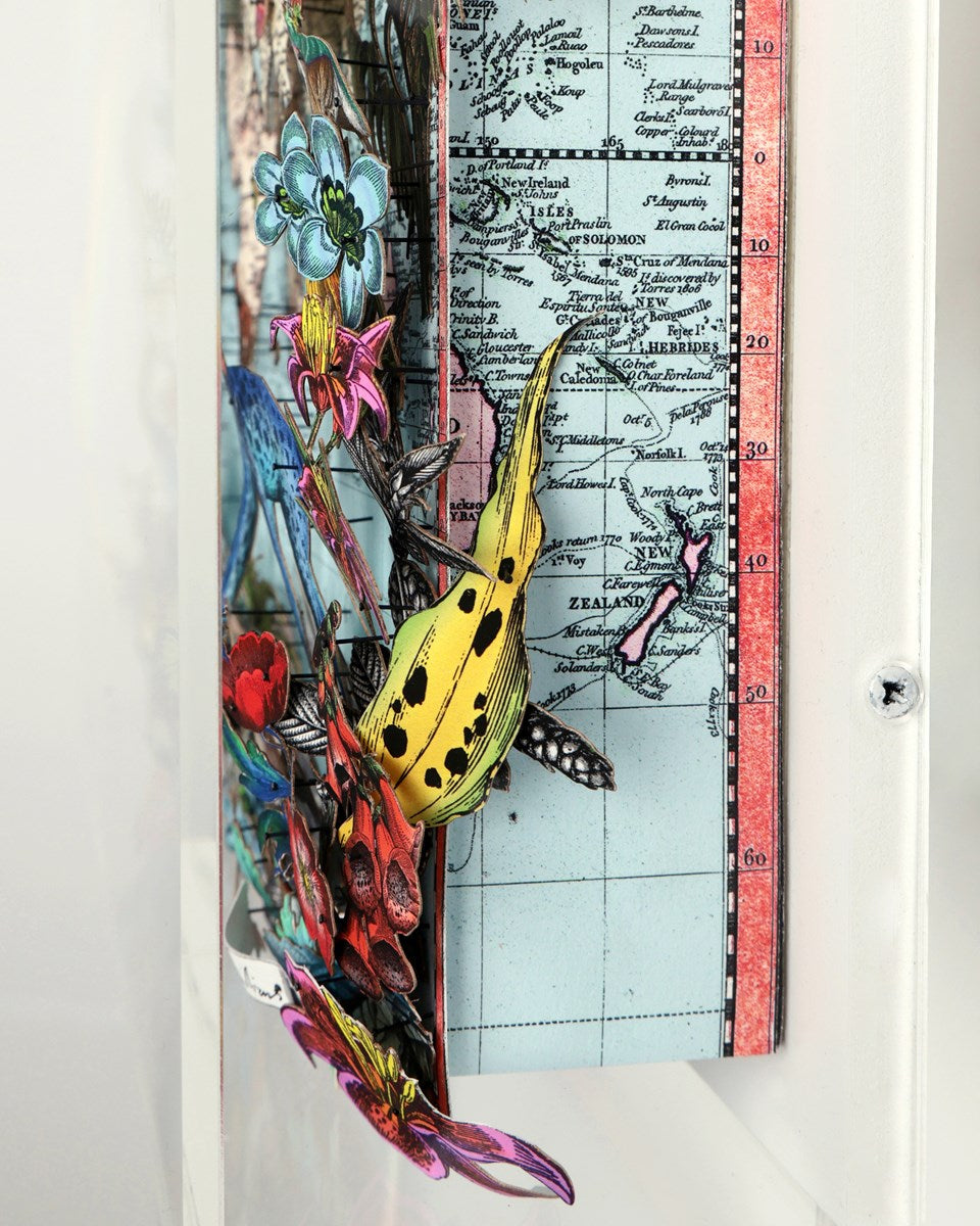 Navigators Floating Map - Giraffe Discoveries of the world (Detail1)