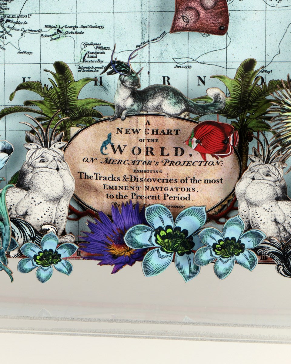 Navigators Floating Map - Giraffe Discoveries of the world