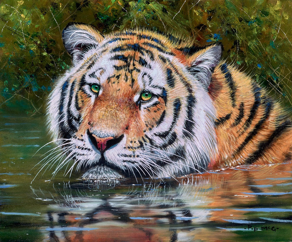 Tiger in Water