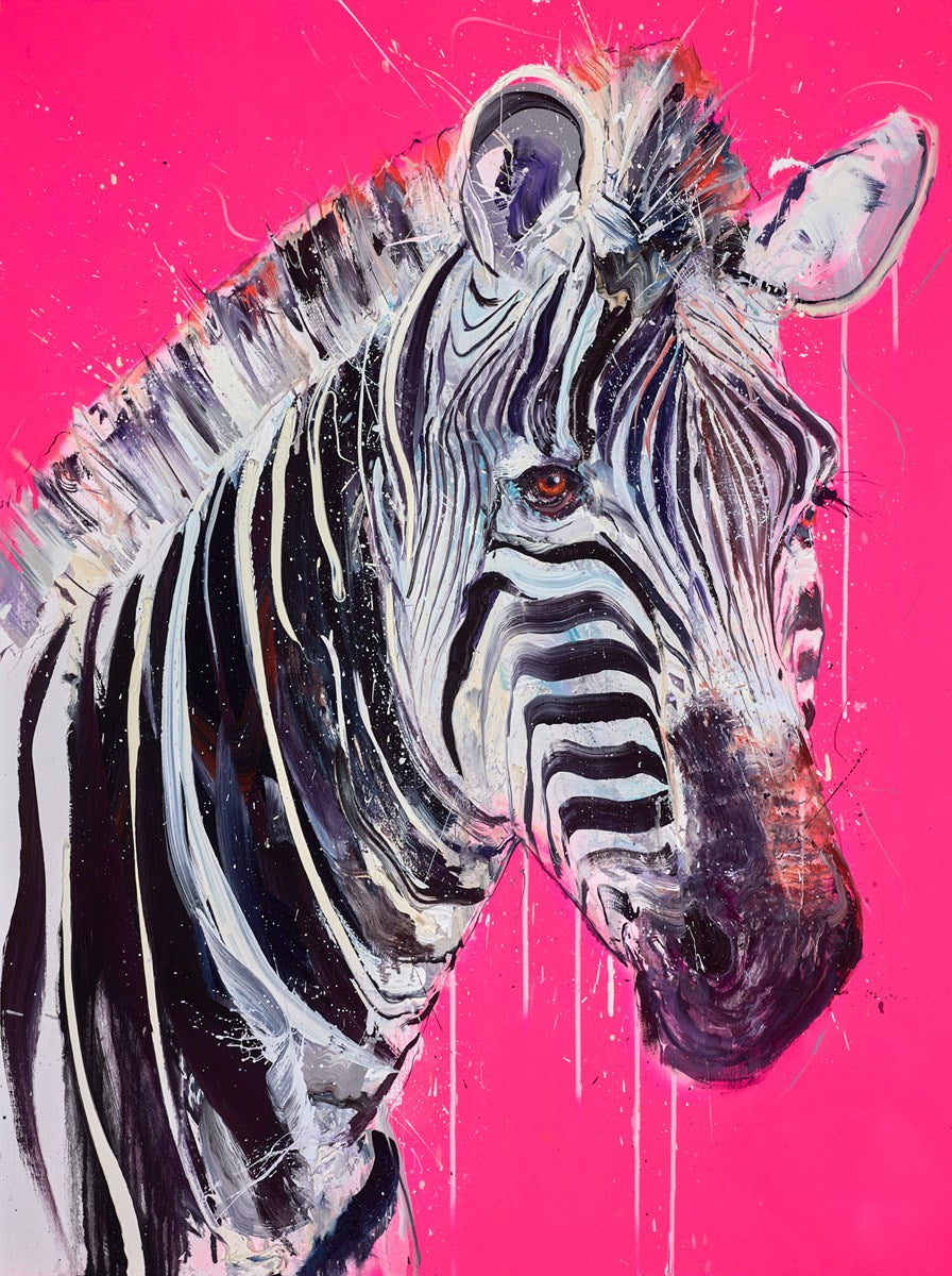Grevy Zebra I