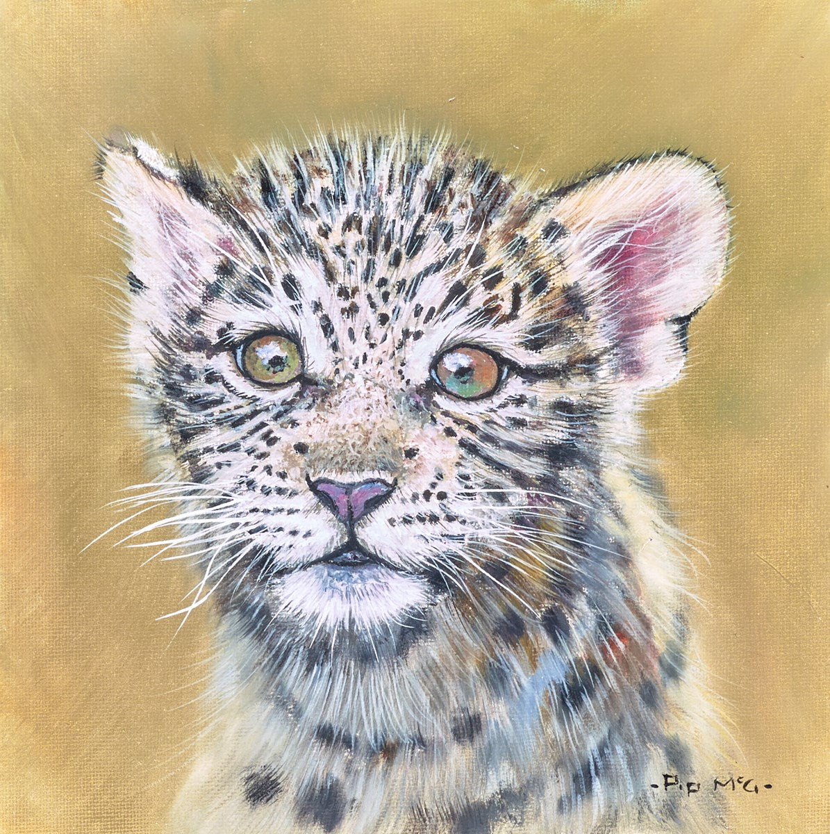 Leopard Cub | Pip McGarry – Clarendon Fine Art