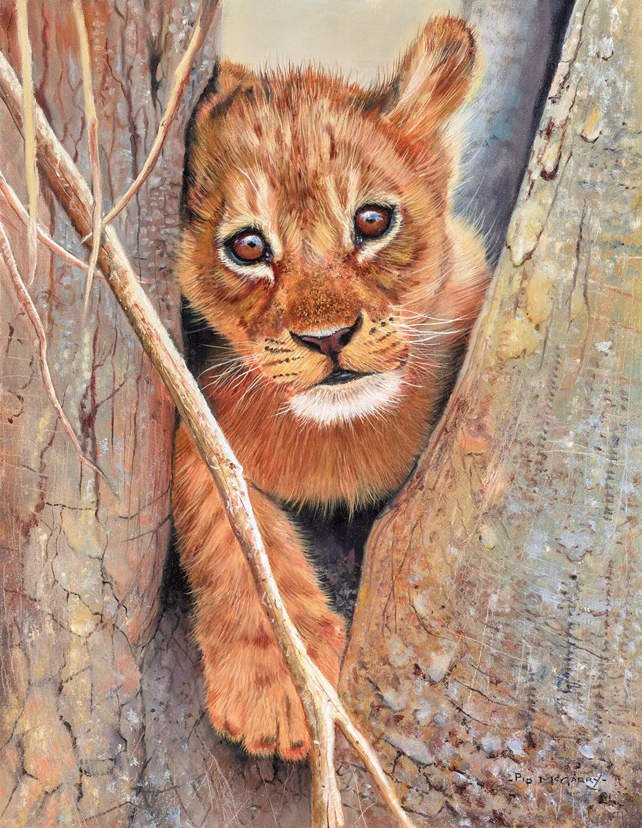 Lion Cub II | Pip McGarry – Clarendon Fine Art